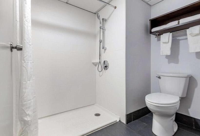 فندق Comfort Inn & Suites