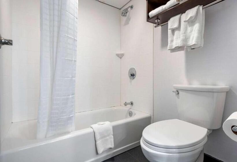 فندق Comfort Inn & Suites