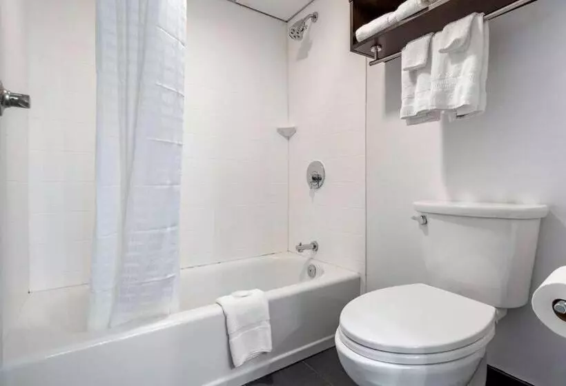 酒店 Comfort Inn & Suites