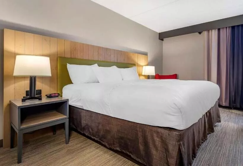 酒店 Comfort Inn & Suites