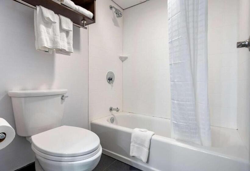 فندق Comfort Inn & Suites