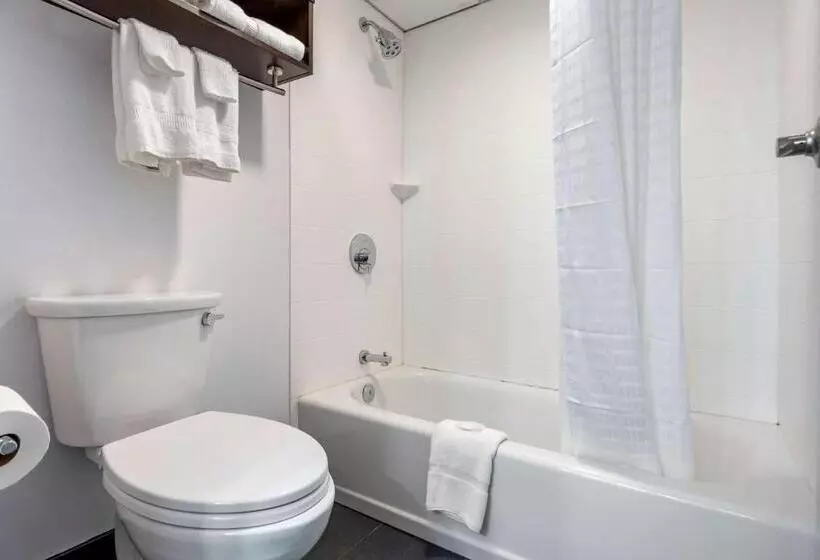 酒店 Comfort Inn & Suites