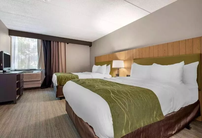酒店 Comfort Inn & Suites
