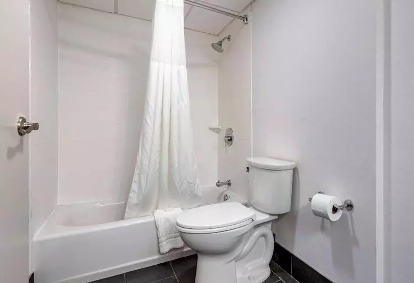 酒店 Comfort Inn & Suites