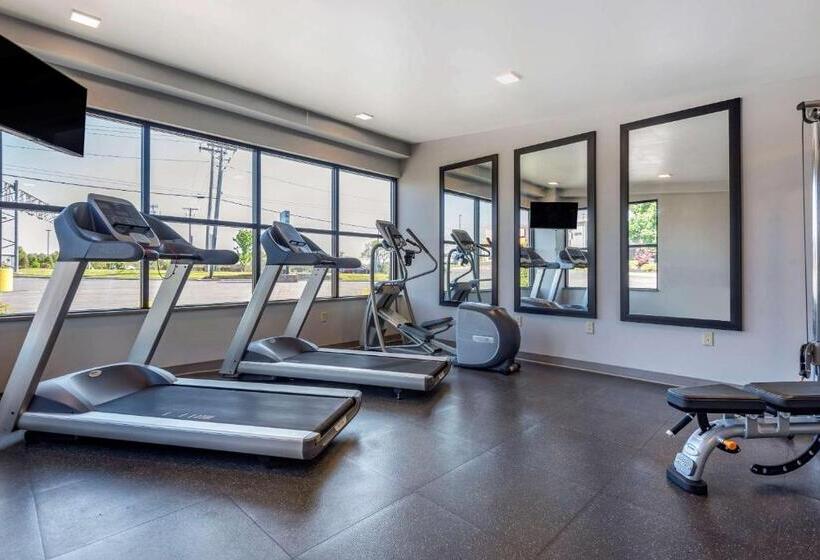 فندق Comfort Inn & Suites