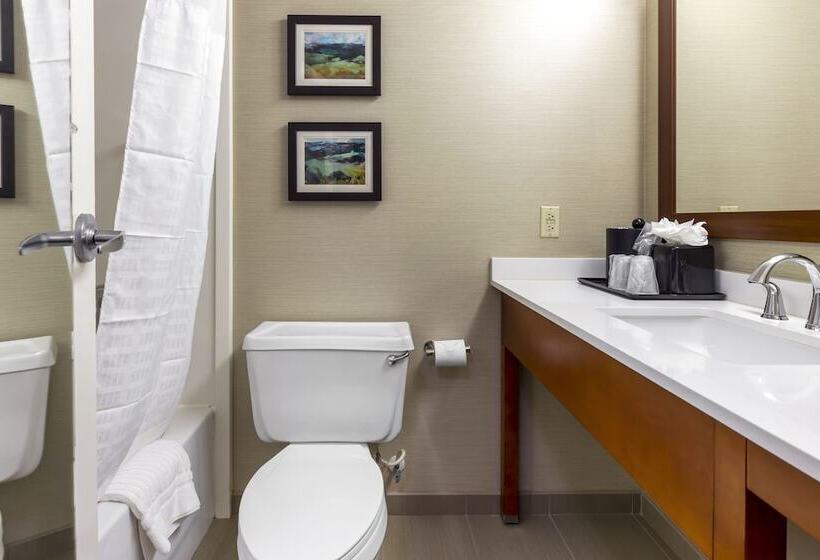 בית מלון כפרי Comfort Inn University Durham  Chapel Hill