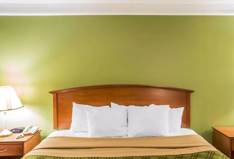 酒店 Econo Lodge North