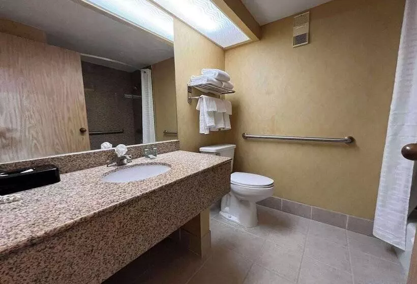 호텔 Best Western Hopkinsville Ky Brand News