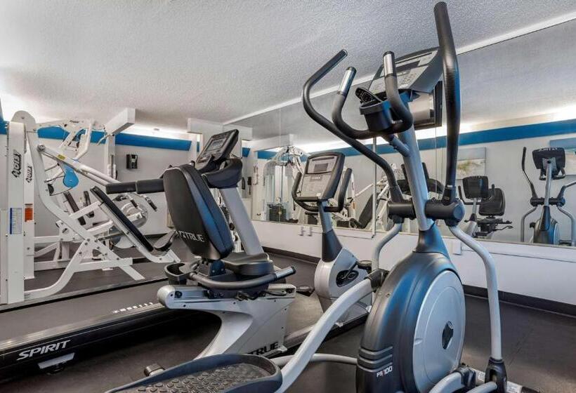 Отель Best Western Navarre Waterfront