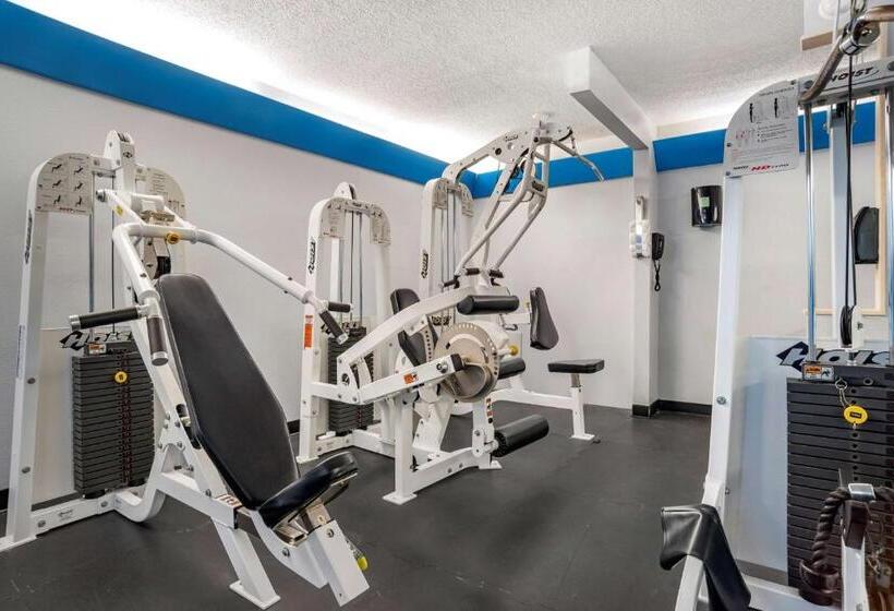 Отель Best Western Navarre Waterfront