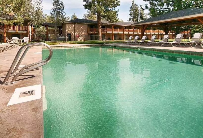 ホテル Best Western Ponderosa Lodge