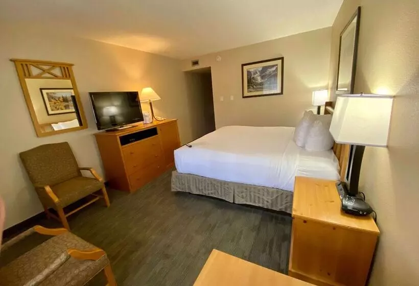 هتل Best Western Sheridan Center