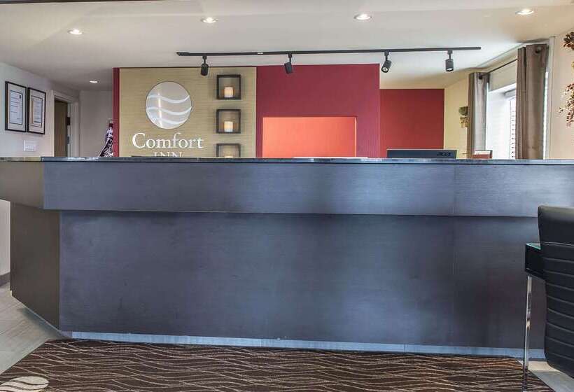 ホテル Comfort Inn