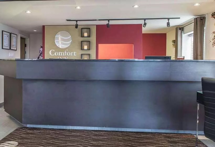 酒店 Comfort Inn