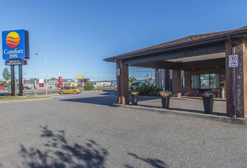 ホテル Comfort Inn