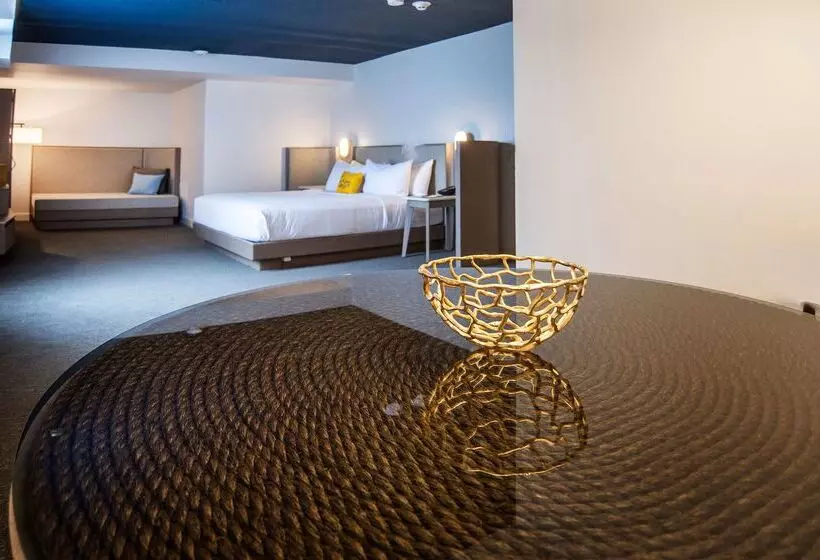 酒店 Doubletree By Hilton St. John S Harbourview