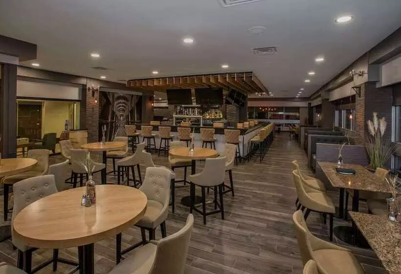 酒店 Hilton Winnipeg Airport Suites