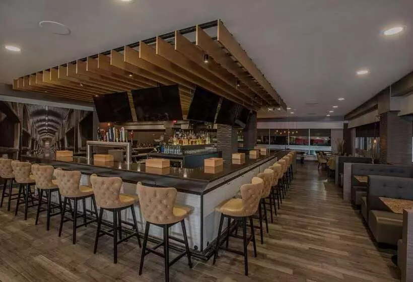 酒店 Hilton Winnipeg Airport Suites