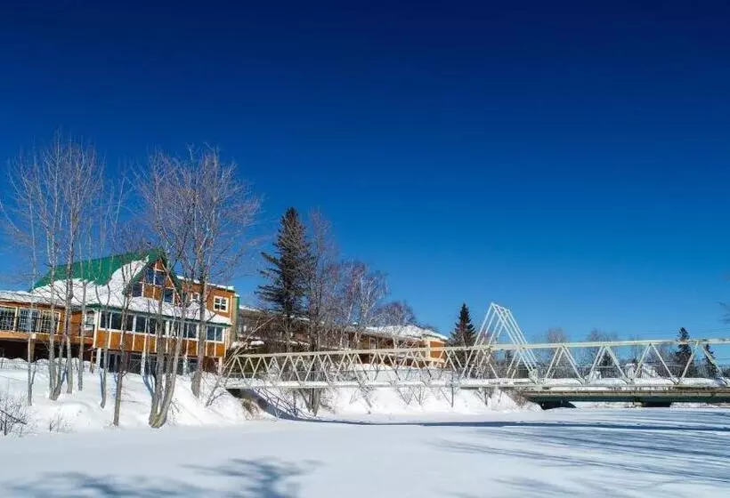 호텔 Hôtel Le Francis