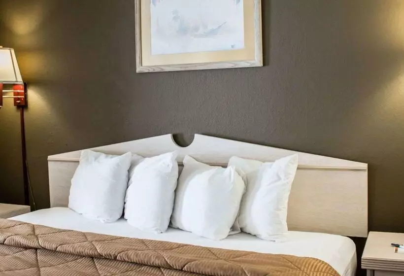 Отель Quality Inn & Suites St Augustine Beach Area