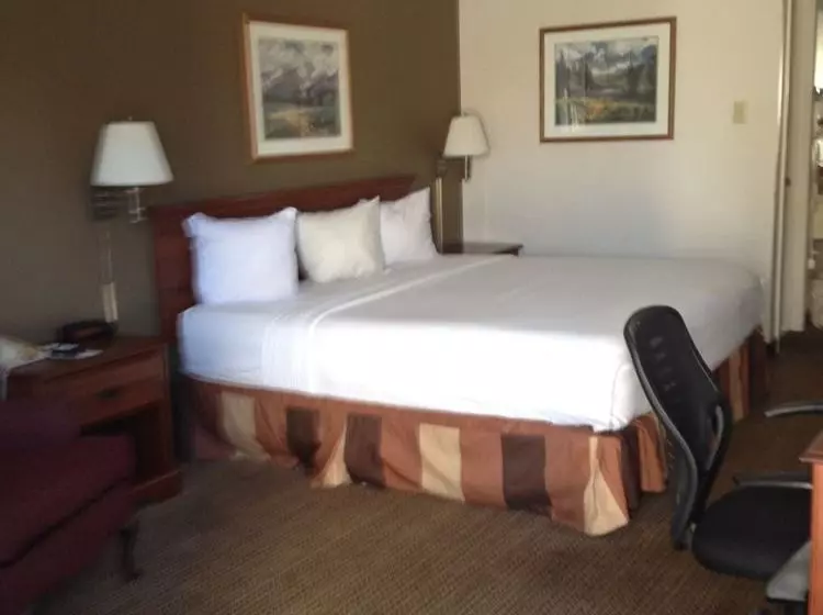 モーテル Weatherford Inn And Suites