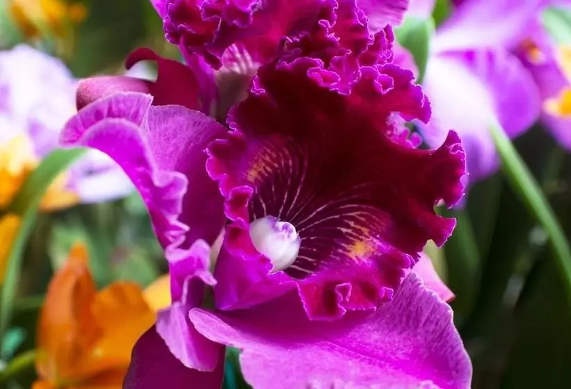 モーテル Weatherford Inn And Suites