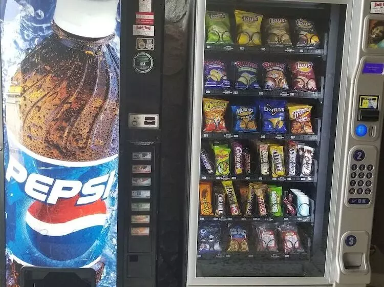 Отель Belmont Inn