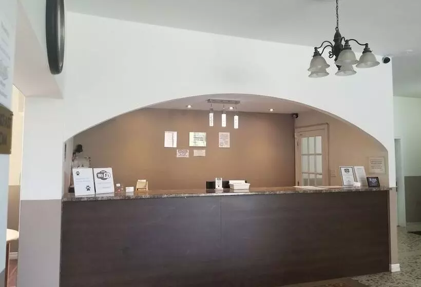 Отель Belmont Inn