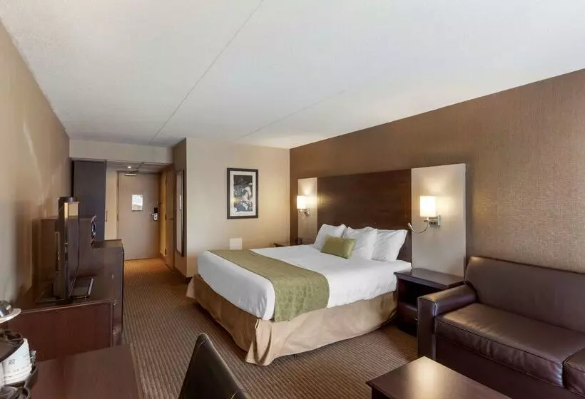 Best Western Plus Leamington Hotel & Conference Centre