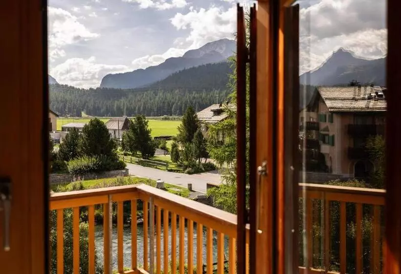 酒店 Chesa Rosatsch  Home Of Food