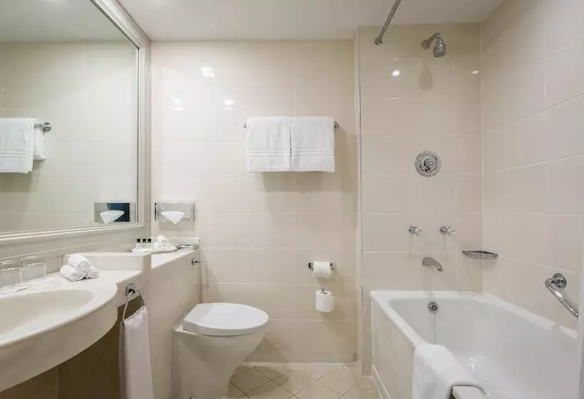 בית מלון כפרי Castletroy Park