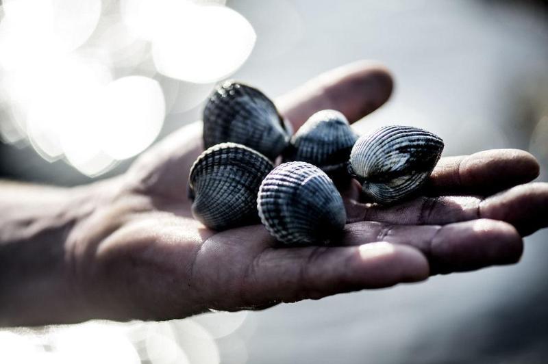 Hotel Christiansminde