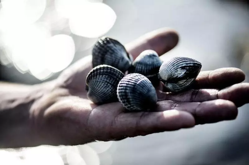 ホテル Christiansminde