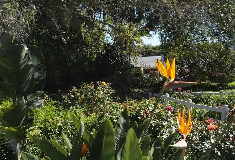 هتل Belvidere Manor Lagoonside Cottages