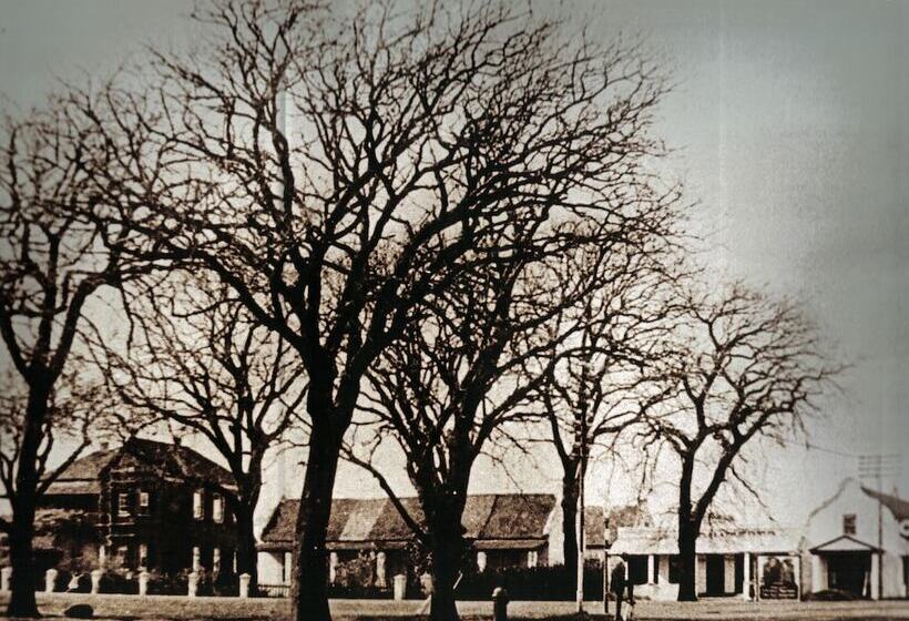 בית מלון כפרי Premier Express Inn George