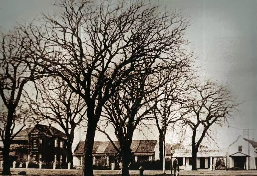 Отель Premier Express Inn George