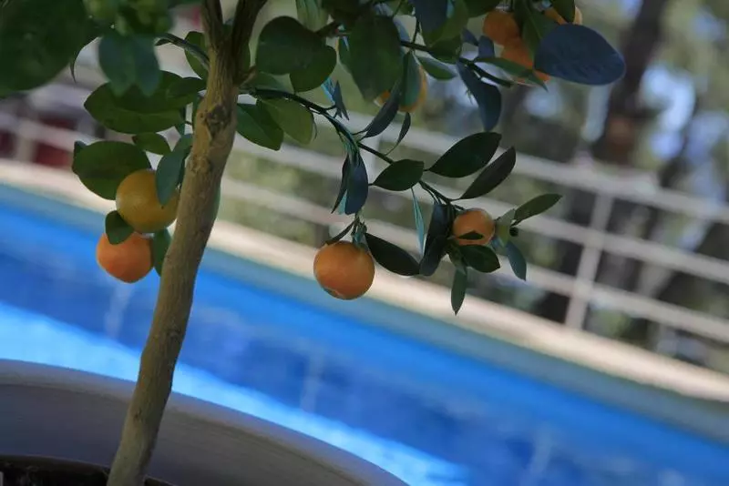 호텔 Le Mas Des Ecureuils