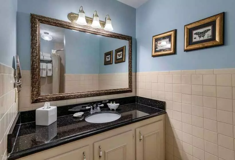 Windsor Hotel, Ascend Hotel Collection