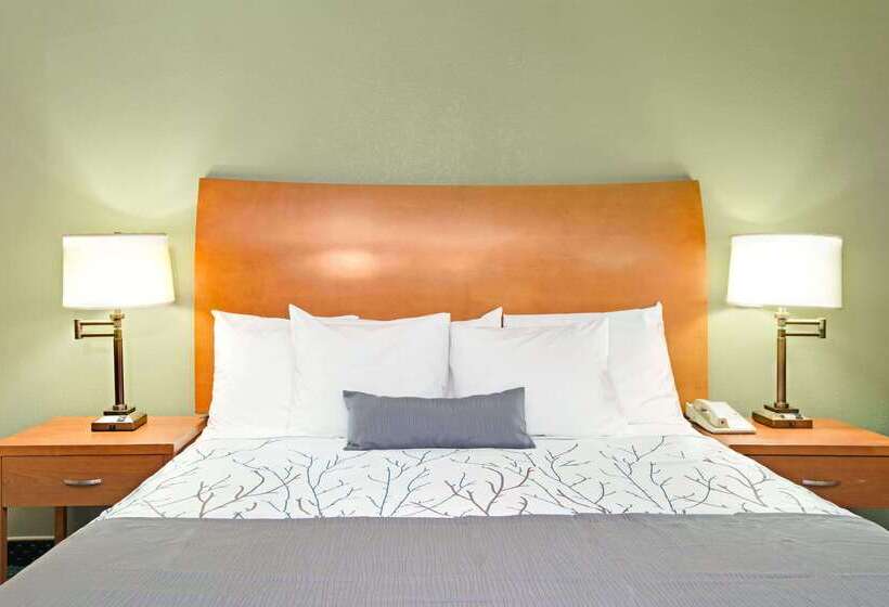 Otel Days Inn By Wyndham San Jose Convention Center