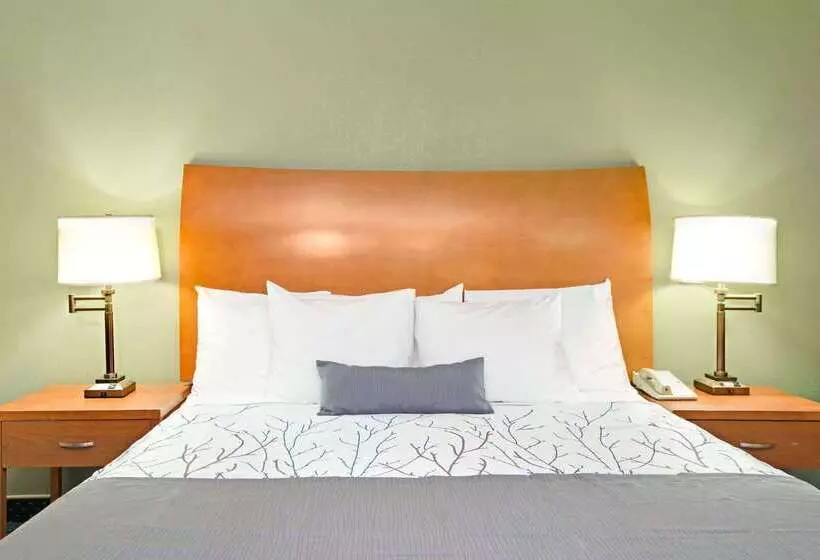 酒店 Days Inn By Wyndham San Jose Convention Center