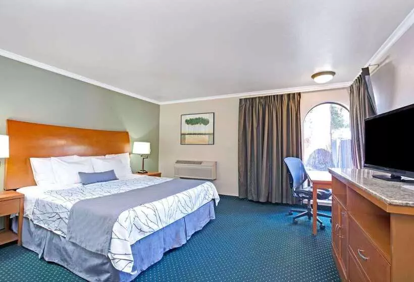 酒店 Days Inn By Wyndham San Jose Convention Center