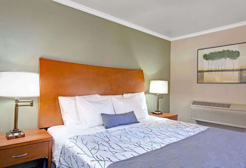 Otel Days Inn By Wyndham San Jose Convention Center