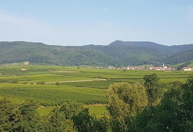 酒店 Kanzel Residence Et Suite