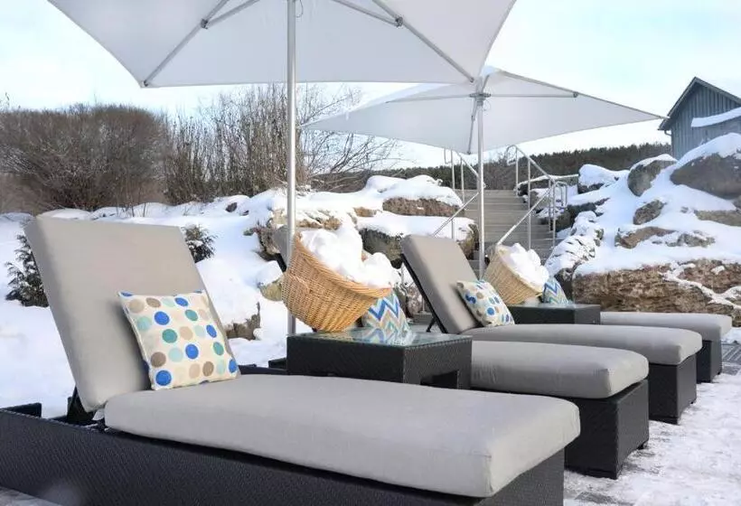 호텔 Millcroft Inn & Spa