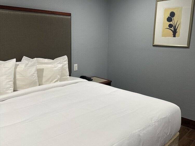 فندق Seaside Inn & Suites