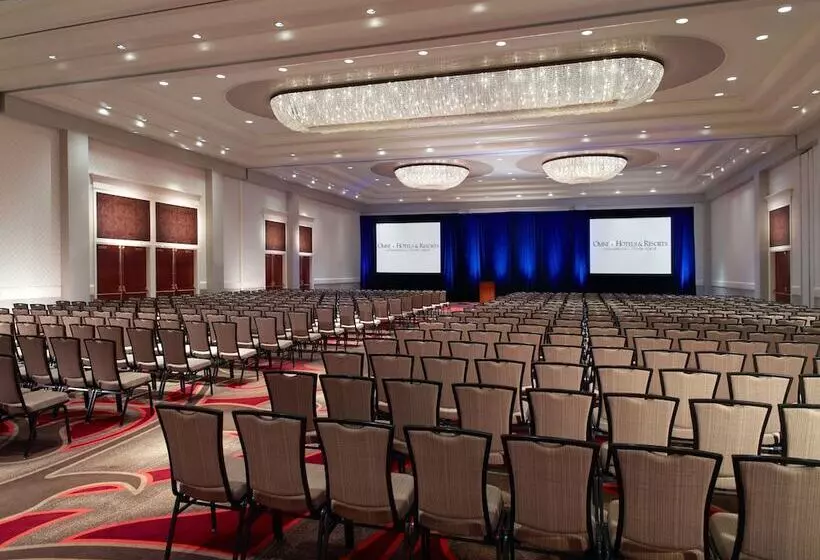 Отель Omni Providence