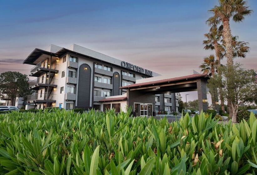 فندق Oxford Suites Lancaster