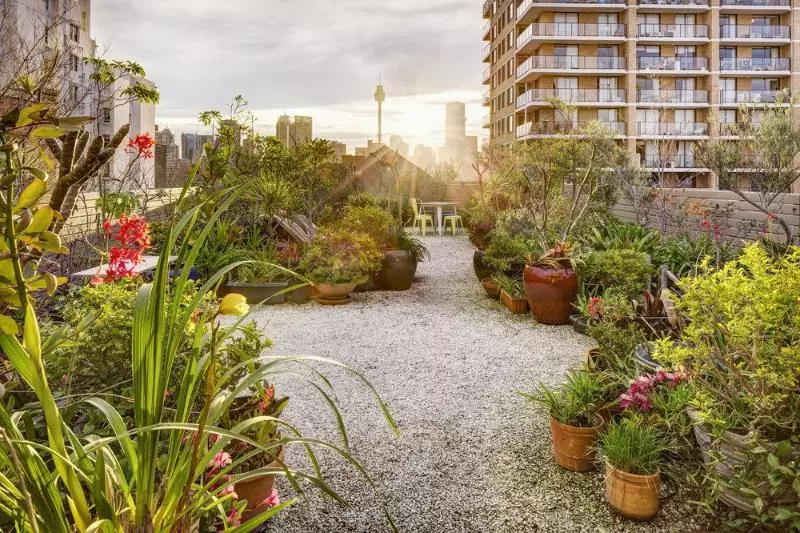 酒店 Regents Court Sydney