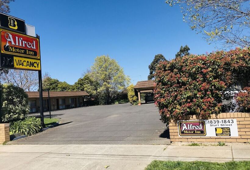 酒店 Alfred Motor Inn