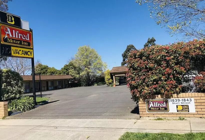 酒店 Alfred Motor Inn